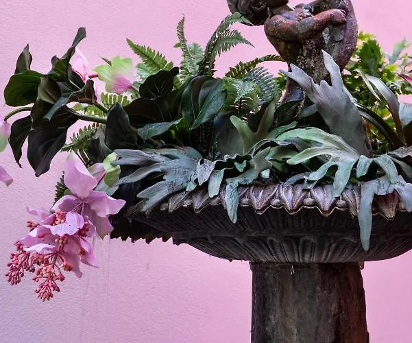 Numa Belfort מלון דירות ברלין